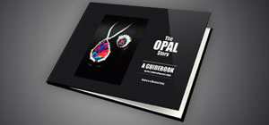 Buy The Opal Story