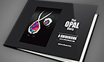 Buy The Opal Story