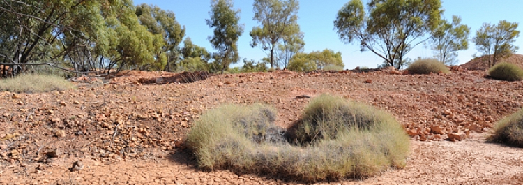 Australian Opal Fields 